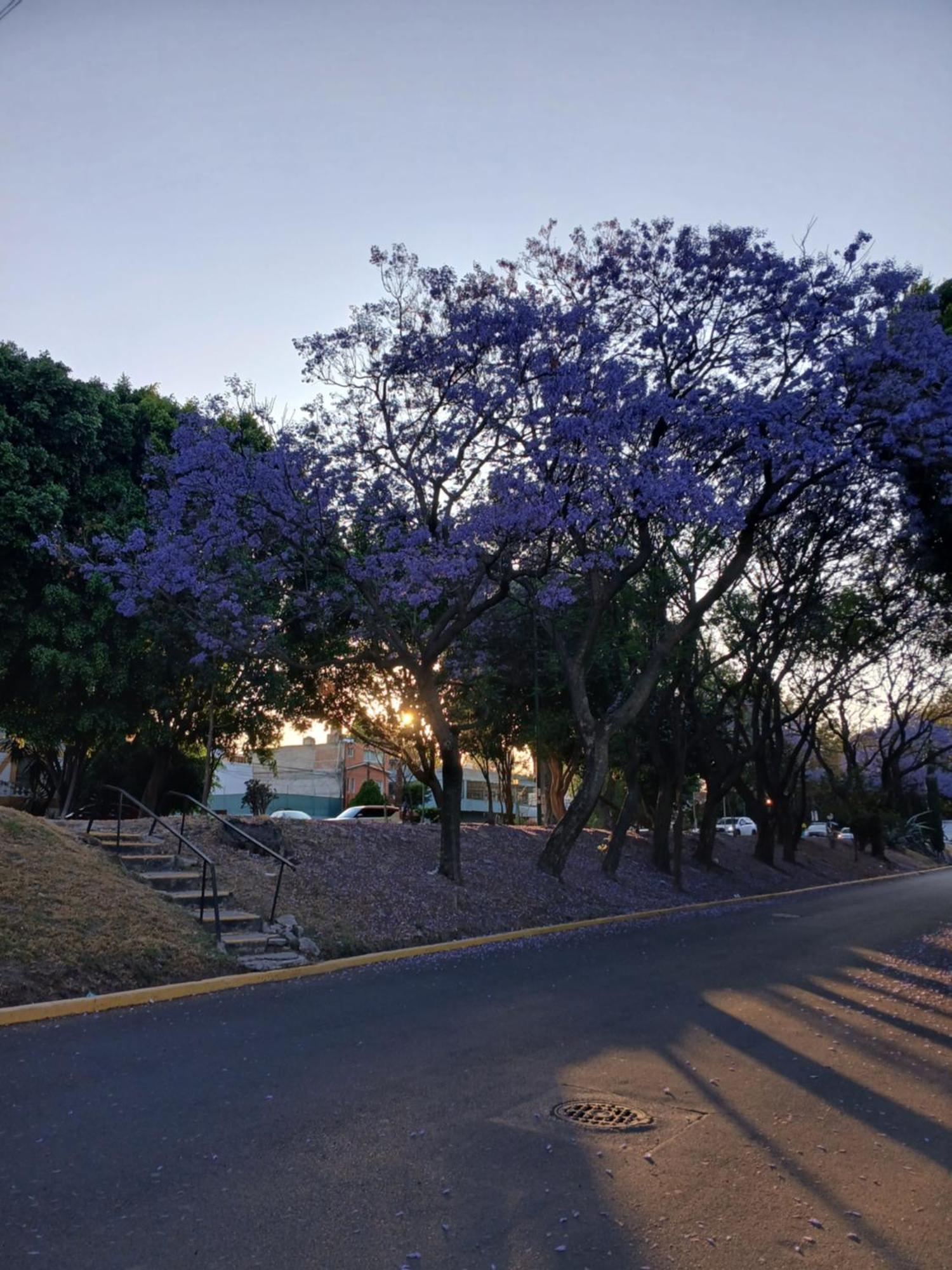 Homestay El Navegante 1