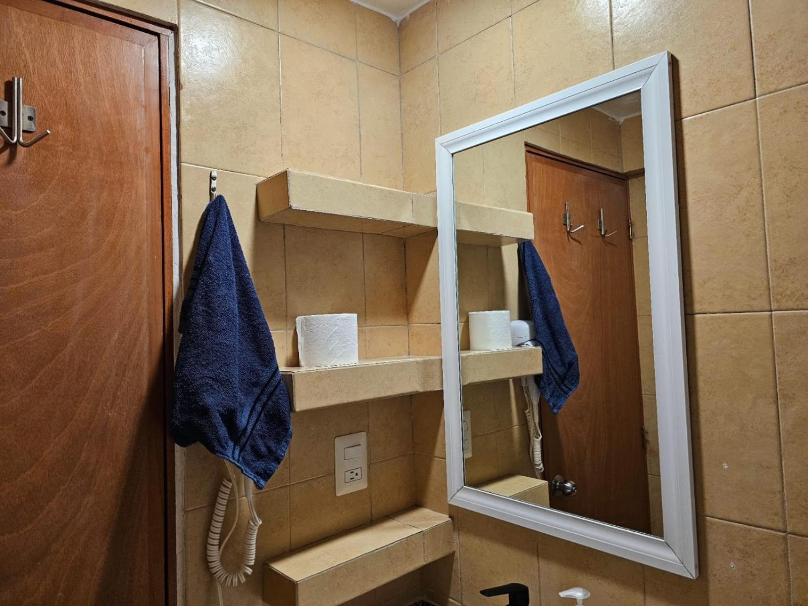 Lofts San Angel Apartment Mexico City