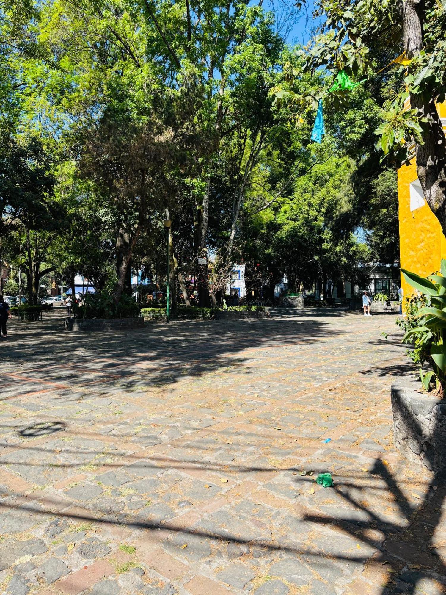 Bed & Breakfast Coyoacan