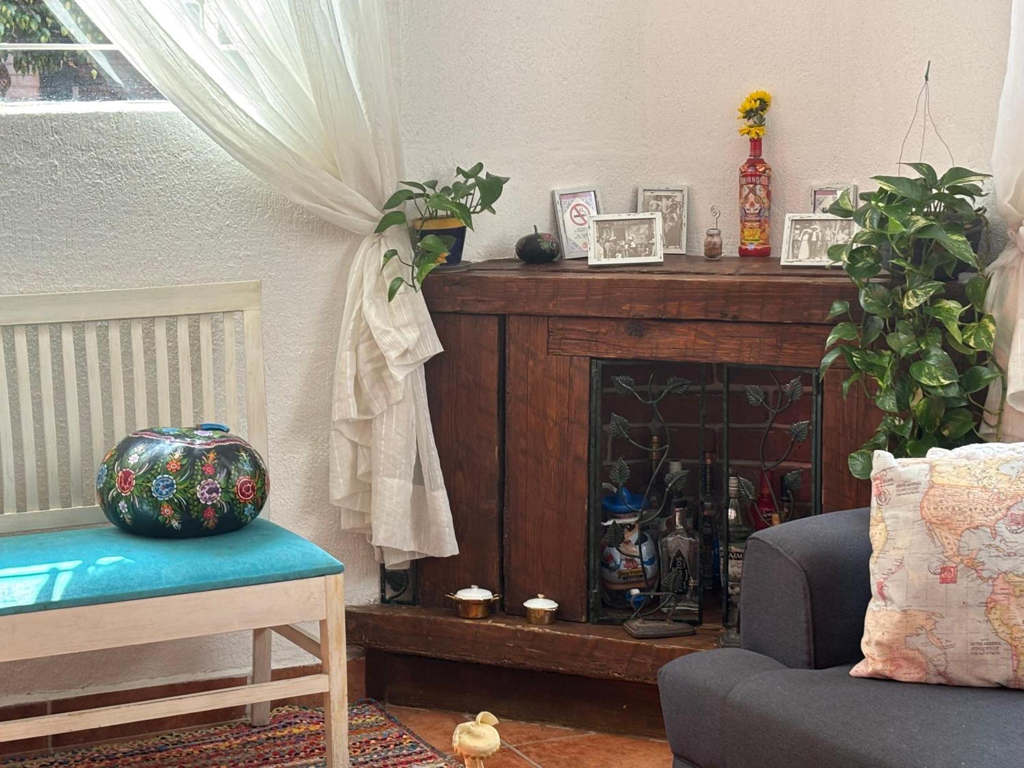 Bed & Breakfast Coyoacan Mexico City