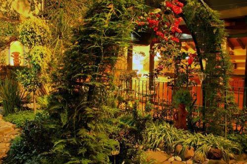 Bed & Breakfast La Casita Del Patio Mexico City