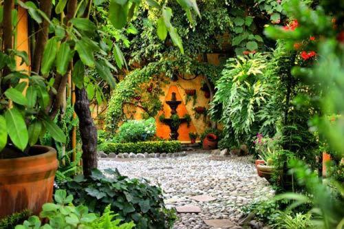 La Casita Del Patio Bed & Breakfast