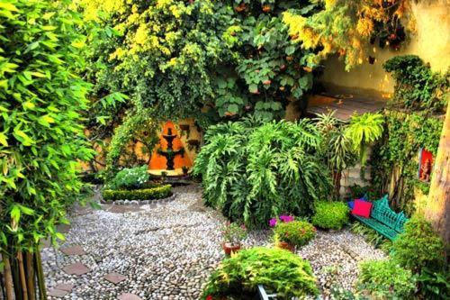 La Casita Del Patio 2* Mexico City