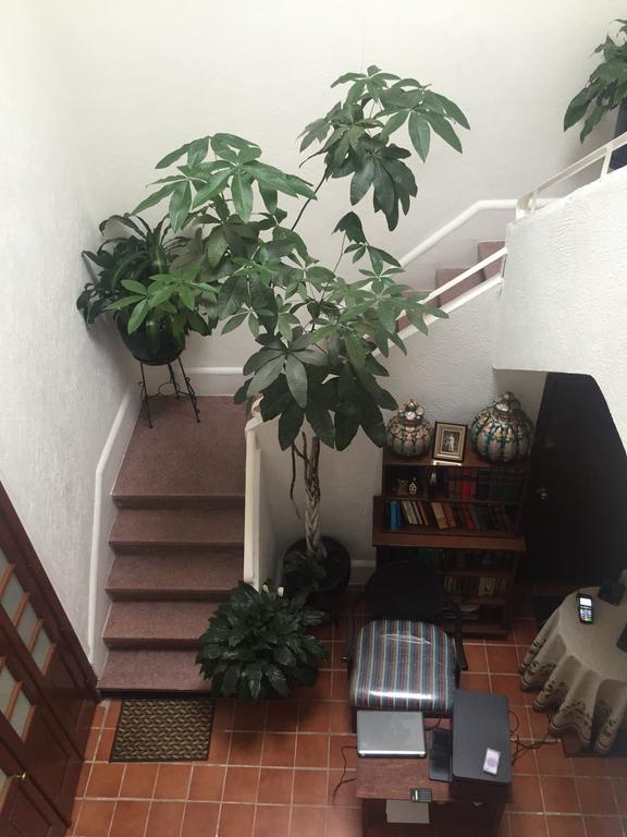Pensión Casa Maria Elena Condesa 4*