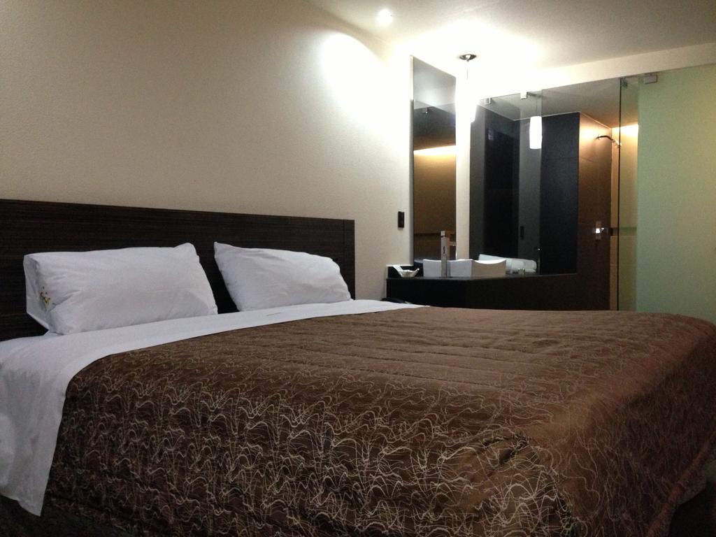 Hotel Amazonas Mexico City