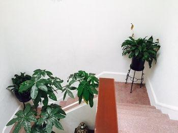 Guest house Casa Maria Elena Condesa (adults Only) Mexico City