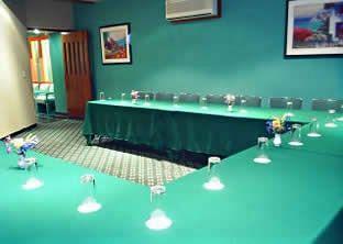 Segovia Regency Hotel 4*