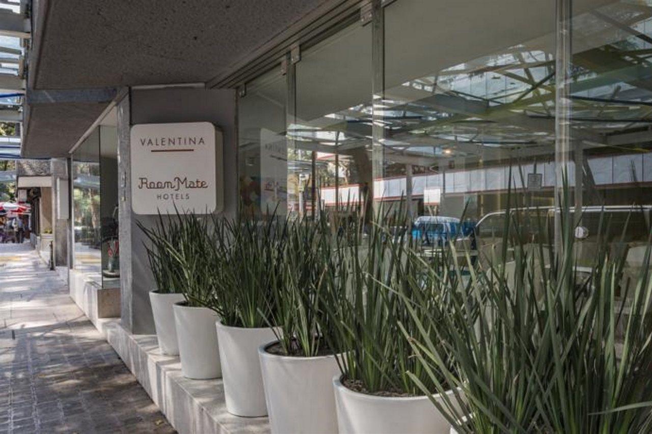 Mate Valentina Hotel Mexico City
