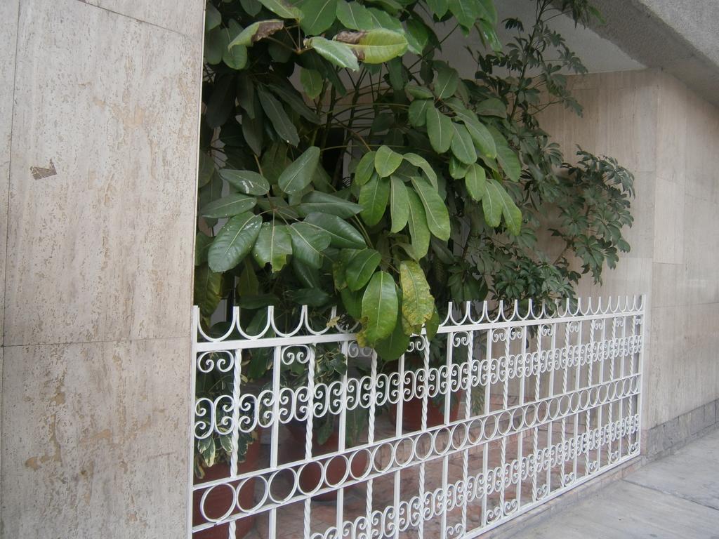 Hotel Polly
