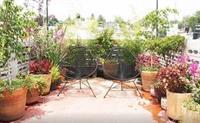 2 Bedrooms Terrace Downtown *