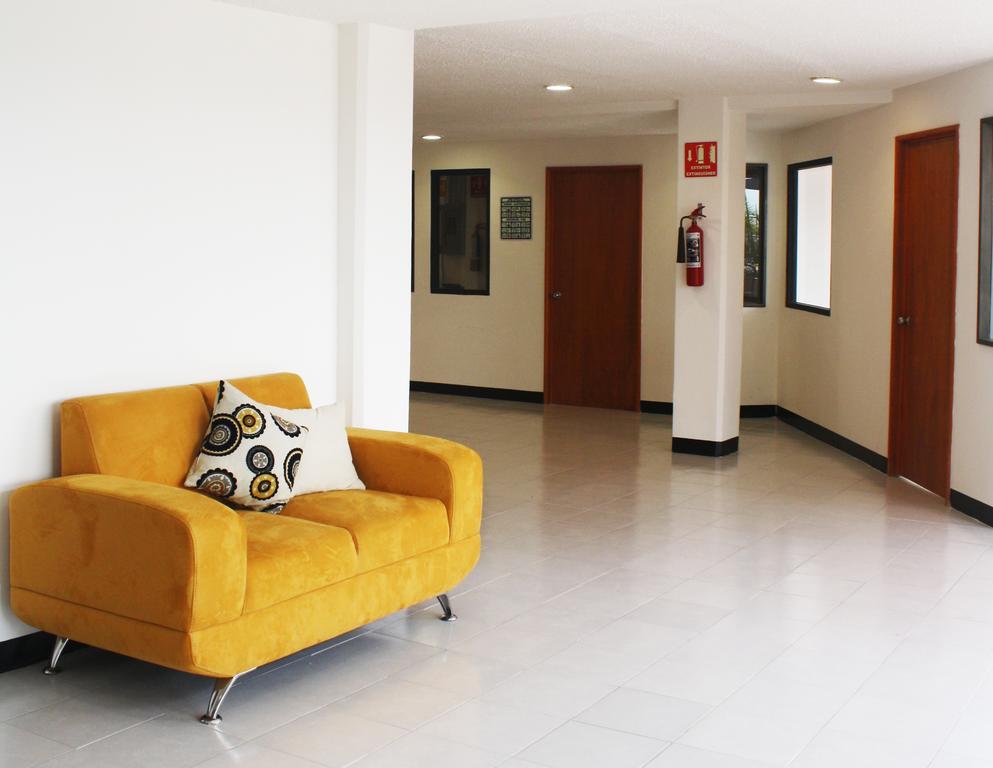 Zocalo Hostel
