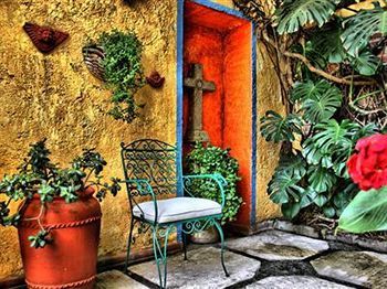 Bed & Breakfast La Casita Del Patio Mexico City