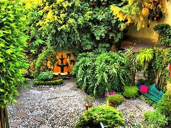 La Casita Del Patio Bed & Breakfast