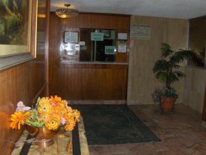 Polly Hotel 2*