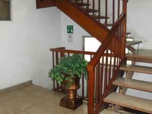 Polly Hotel Mexico City