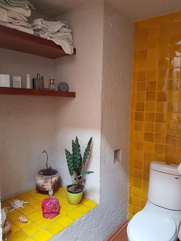 Homestay Casa San Angel Mexico City