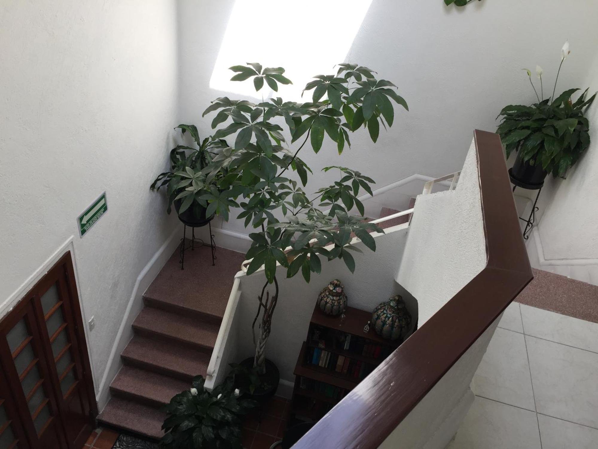 Casa Maria Elena Condesa Pensión 4*