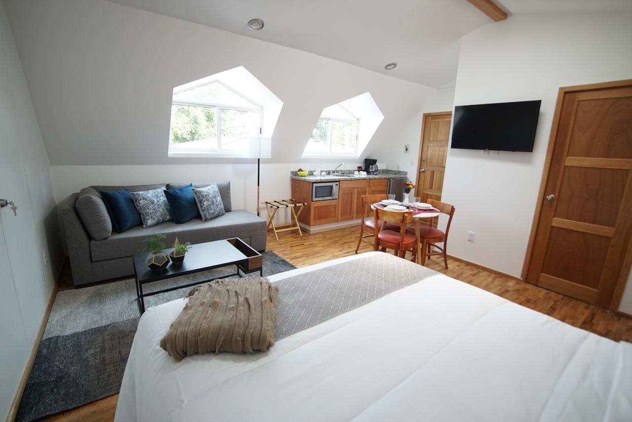 The Gallery Apartment