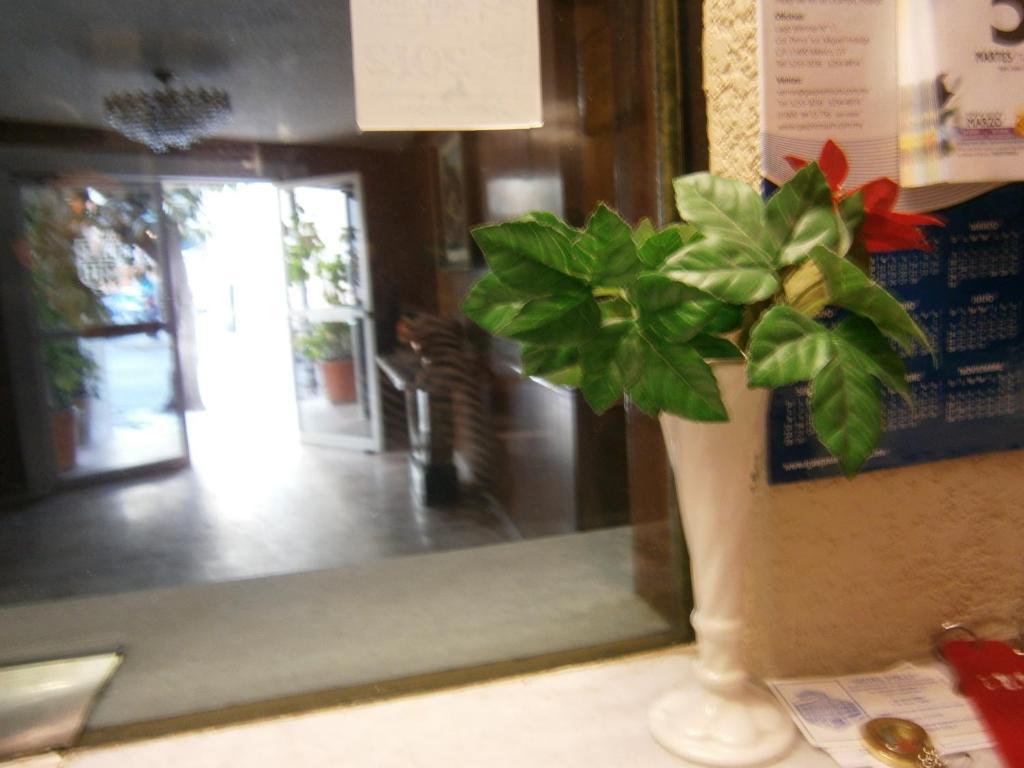 Hotel Polly Mexico City