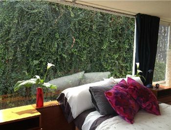 Homestay Casa Roa (adults Only) Mexico City