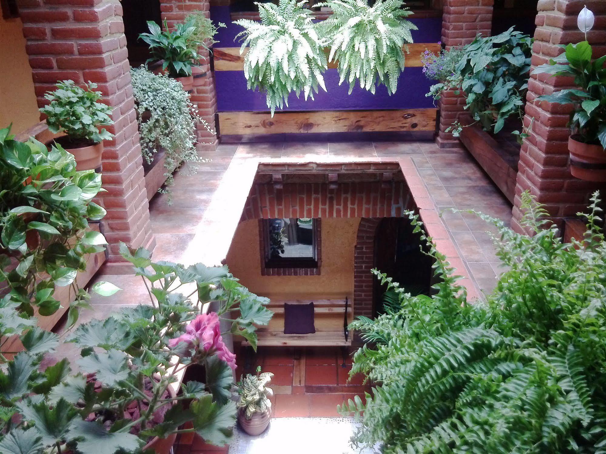 Mex Suites Casa Azúl Bed and breakfast 5*