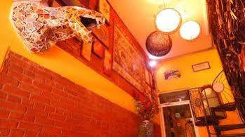 Coyotito Beds San Angel, Suites Con Encanto! Hotel