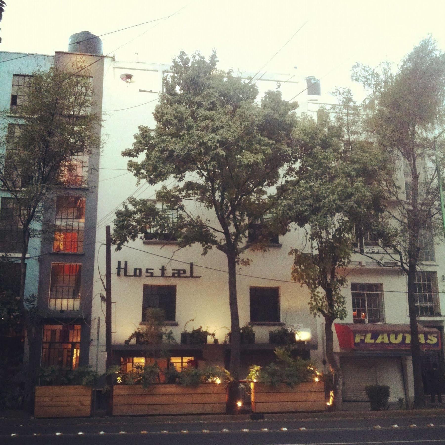 Itto Condesa Mexico City