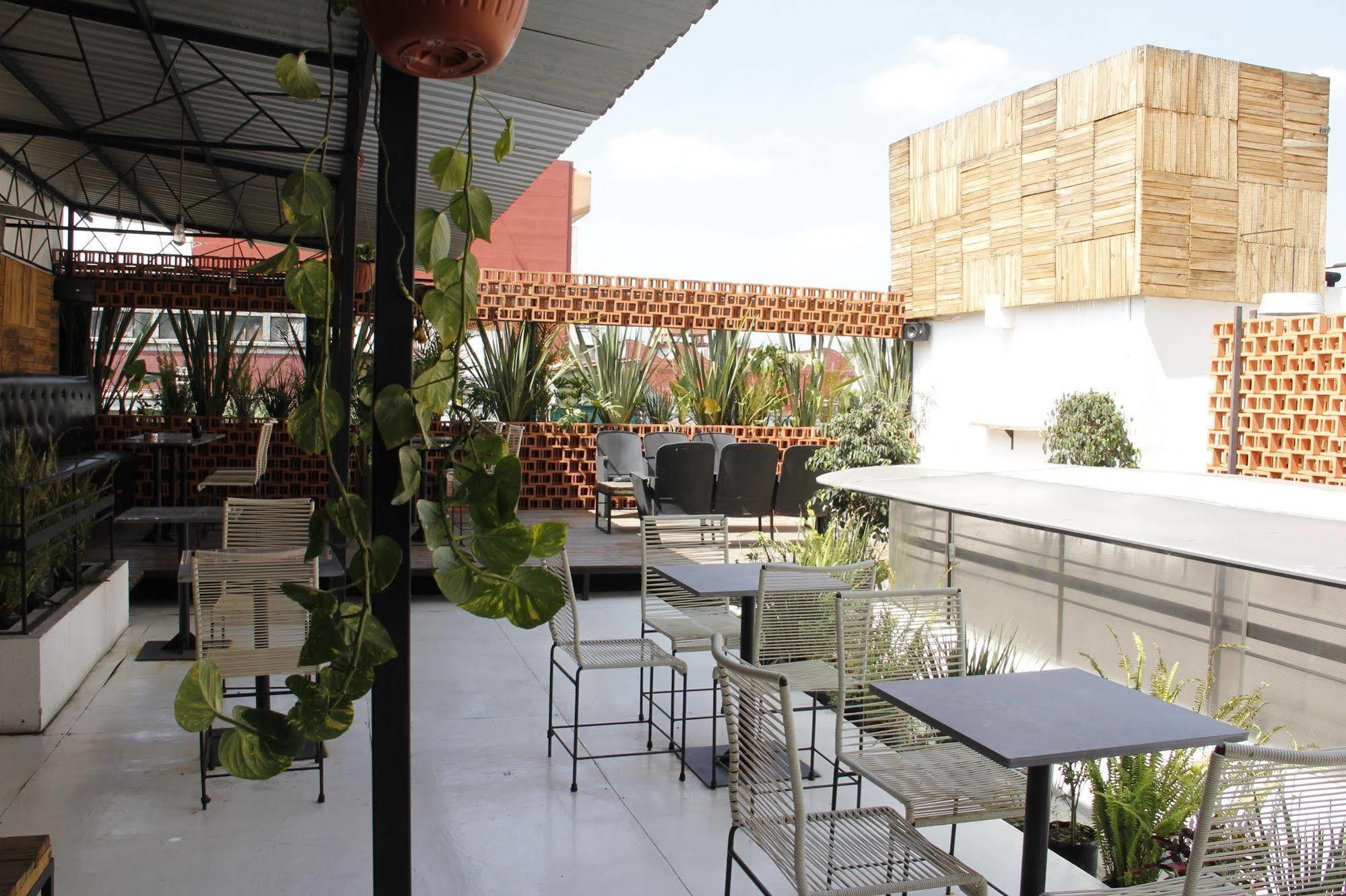 Itto Condesa