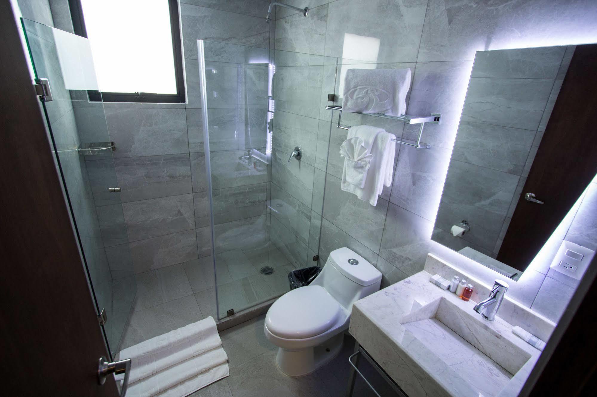 Suites Lerma Hotel Mexico City