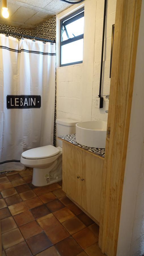 Coyoacan Lofts *