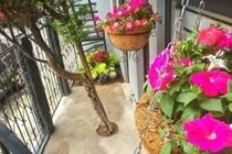 2 Bedrooms Terrace Downtown Apartment Mexico City