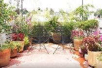 Apartment 2 Bedrooms Terrace Downtown Mexico City