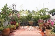 2 Bedrooms Terrace Downtown *