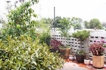 2 Bedrooms Terrace Downtown