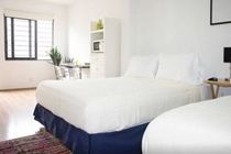 Apartment 2 Bedrooms Terrace Downtown Mexico City
