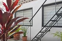 2 Bedrooms Terrace Downtown Mexico City