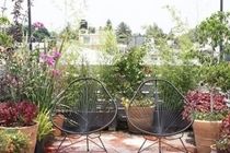 2 Bedrooms Terrace Downtown Apartment Mexico City