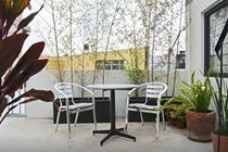 2 Bedrooms Terrace Downtown Mexico City
