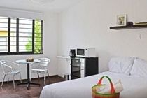 2 Bedrooms Terrace Downtown Mexico City