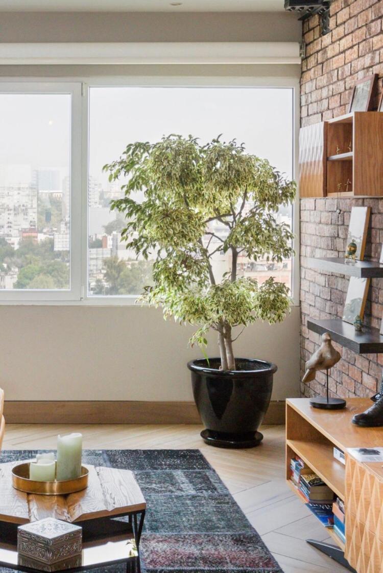 Lofts Vista Condesa Apartment *