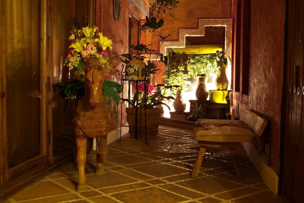Busue A Boutique Experience Mexico City