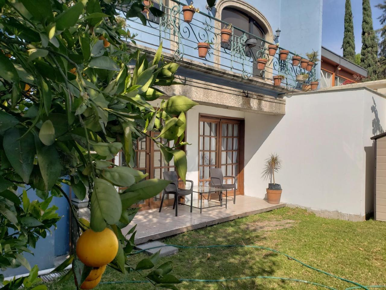 Singular Coyoacan Pepper My Love! Aparthotel Mexico City