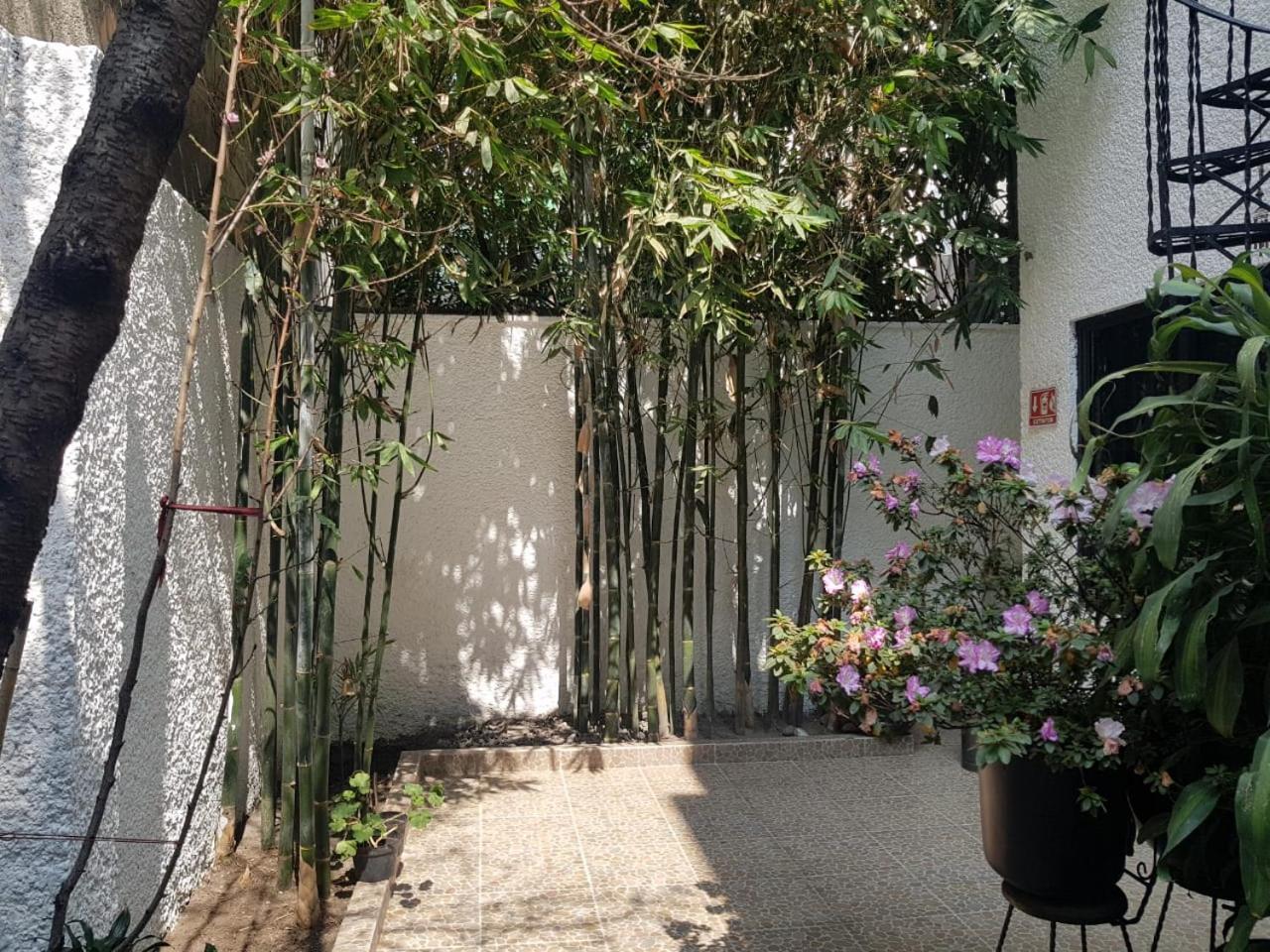 Casa Maria Elena Condesa