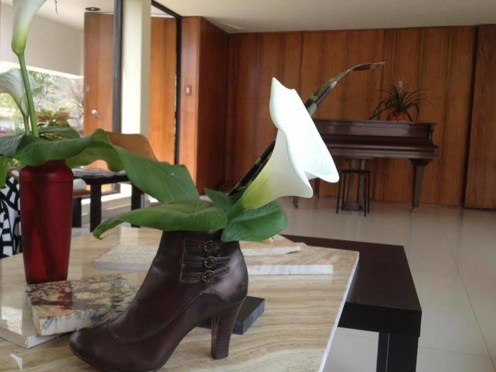 Casa Roa (adults Only) * Mexico City