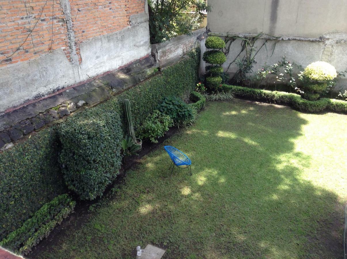 Centro De Coyoacan