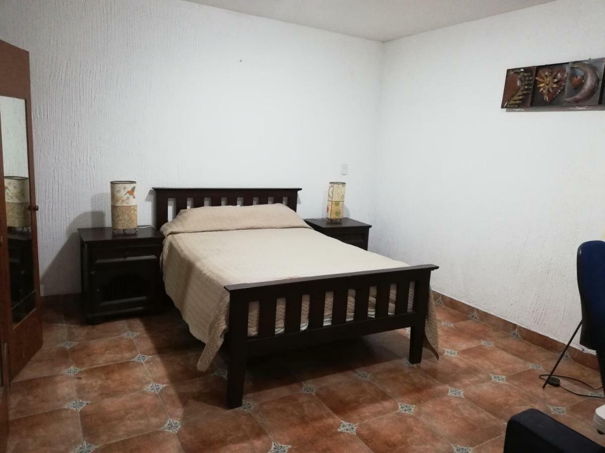 Centro De Coyoacan