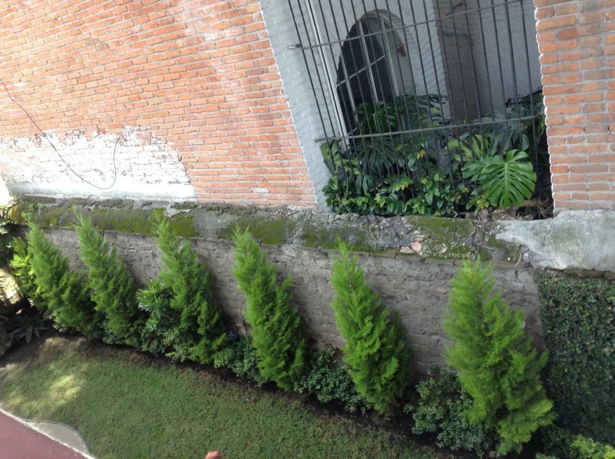 Homestay Centro De Coyoacan Mexico City