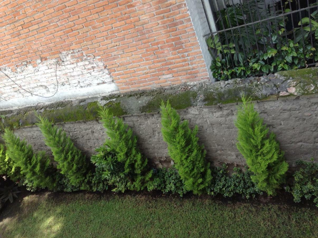 Homestay Centro De Coyoacan