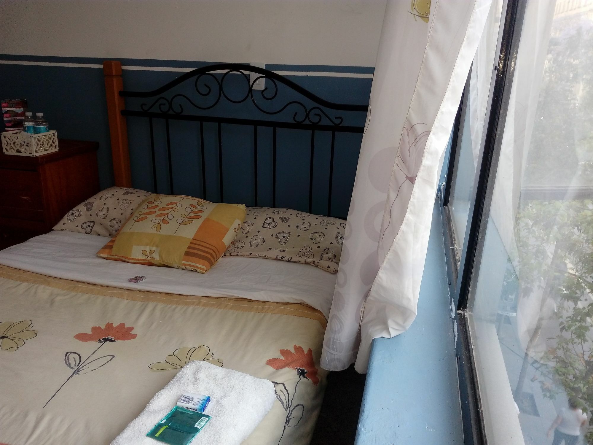 Guest house Zocalo