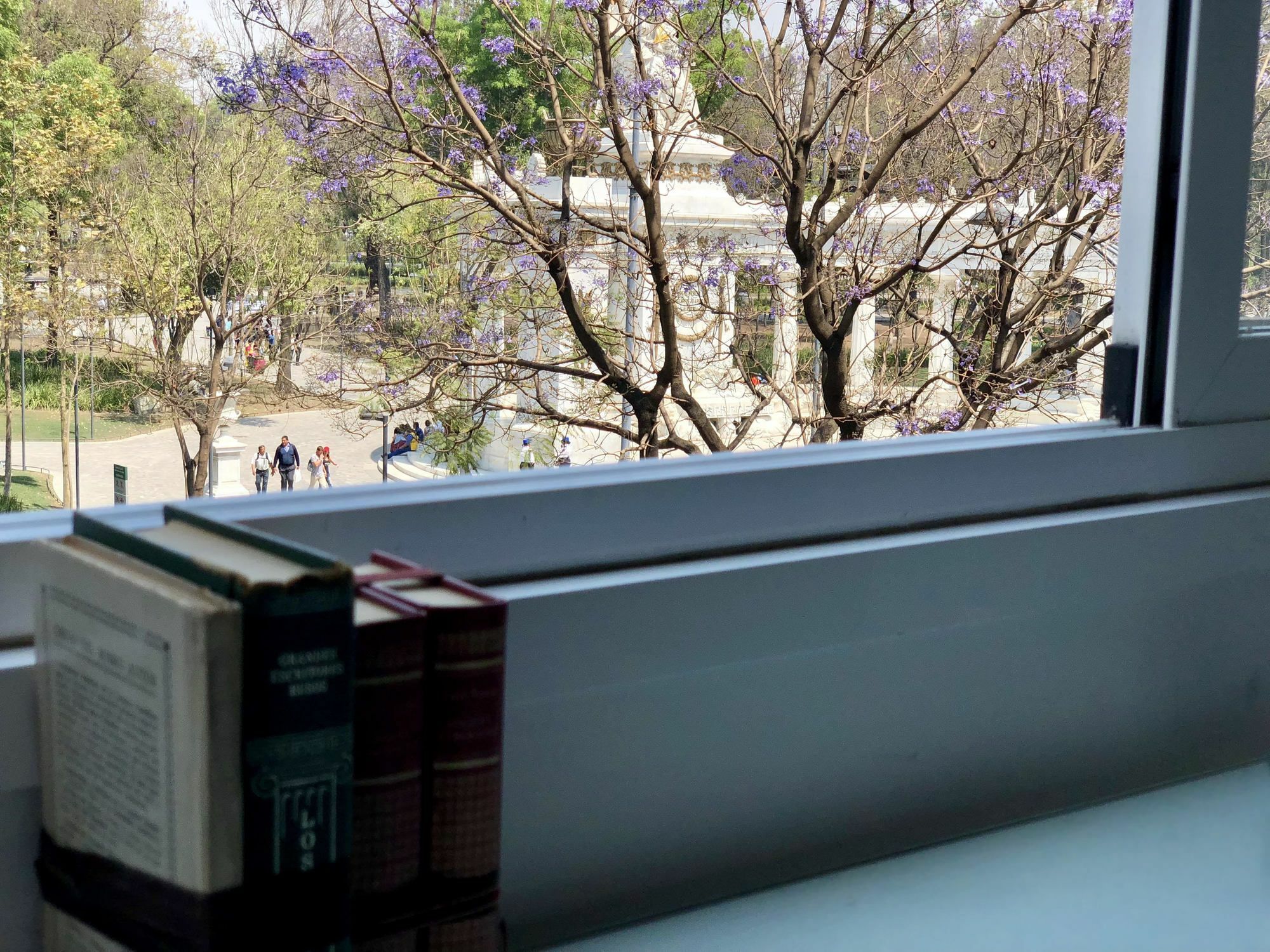 Apartment Down Town 203 - Mexico City